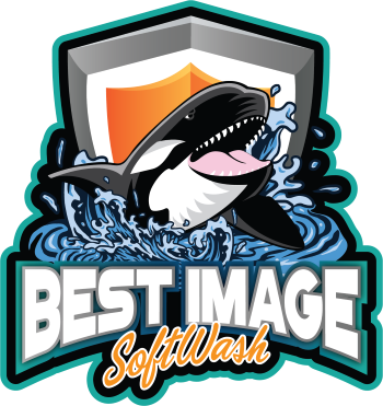 Best Image Soft Wash Logo
